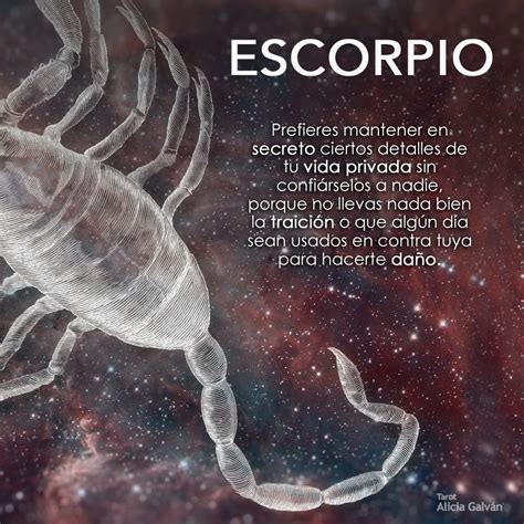 qual o significado de sonhar com escorpião